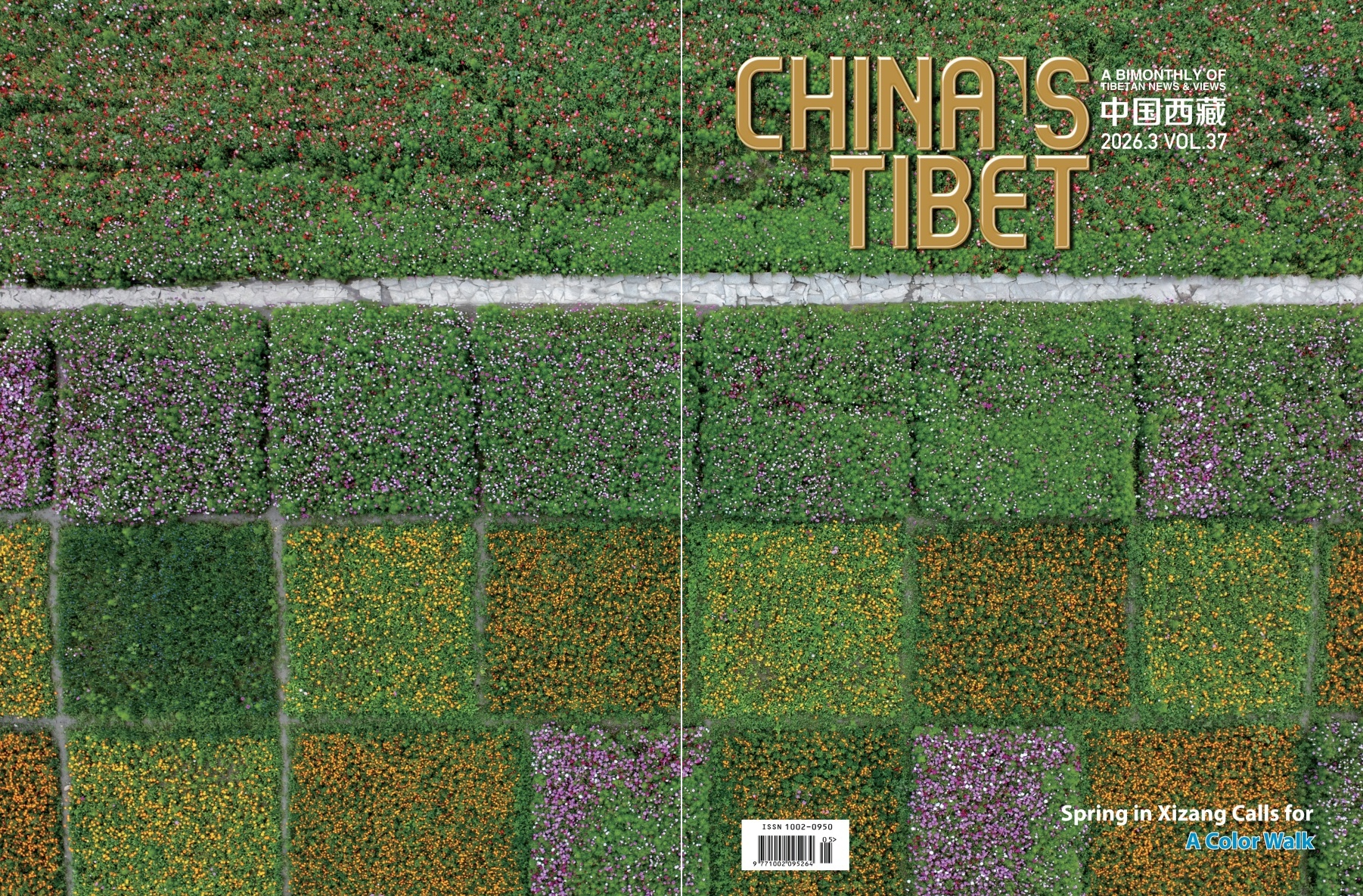 封面.jpg