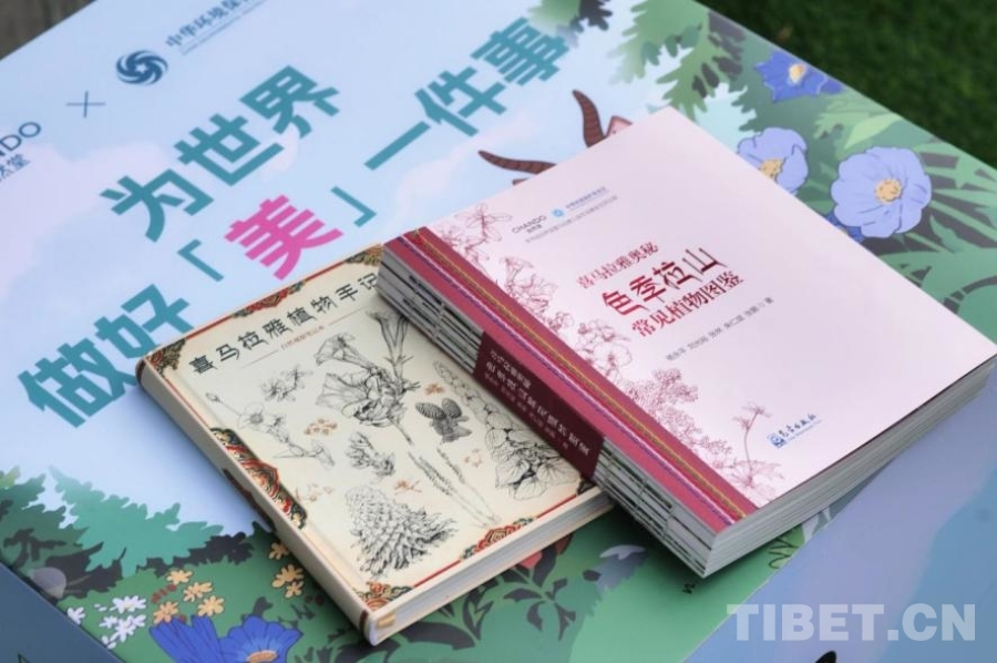 图片1.png