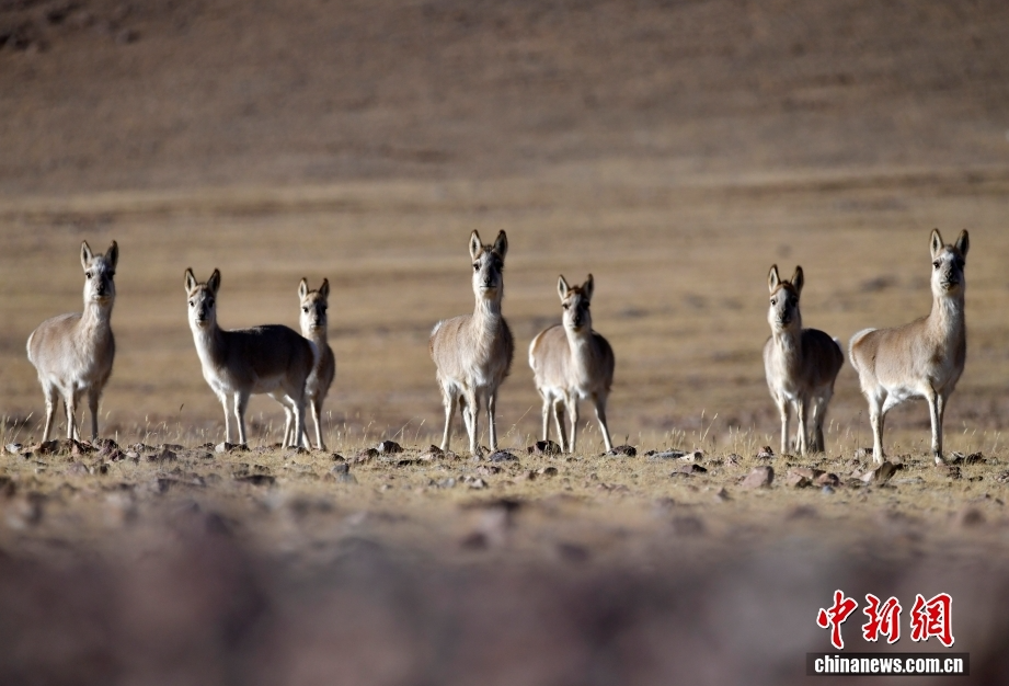 ScreenShot_2026-03-30_152307_394